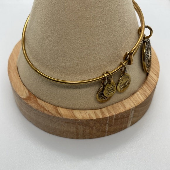 Alex and Ani True Direction Charm Bangle Bracelet/Rafaelian Gold/Good Condition - Picture 3 of 6